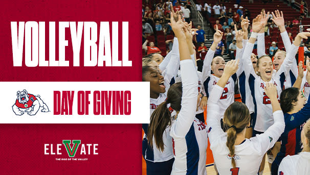 Volleyball Fund for Excellence Image
