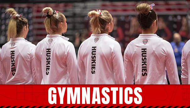 NIU Gymnastics Image