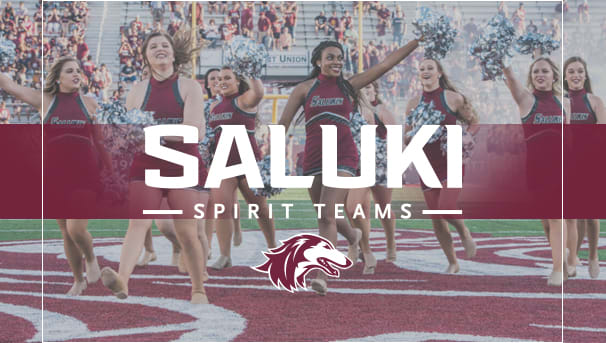 Saluki Spirit Teams Image
