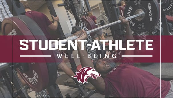 Saluki Student-Athlete Well-Being Image