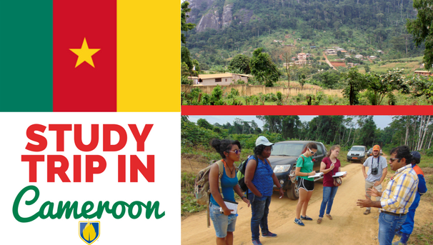 Study Trip in Cameroon Image
