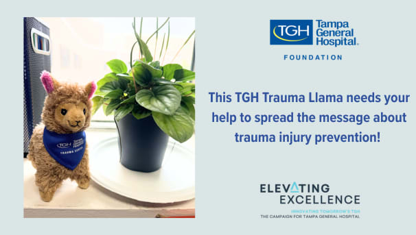 Support the TGH Trauma Injury Prevention Program Image