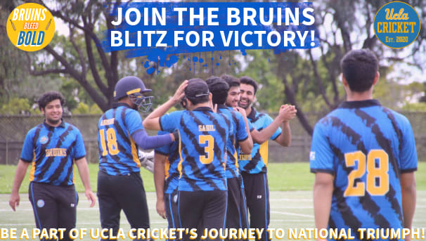 Cricket Tournament 2024 Image