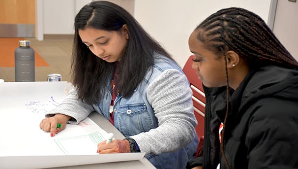 College of Science Diversifying Science Mentor Program Image