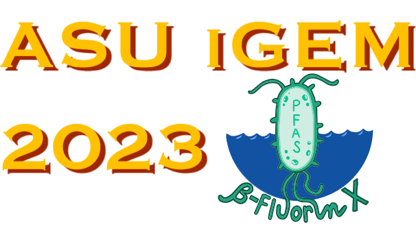 ASU iGEM 2023: β-FluorinX: PFAS Bioremediation Image