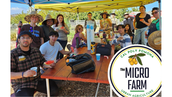 Student-Run Cal Poly Pomona Micro Farm Image