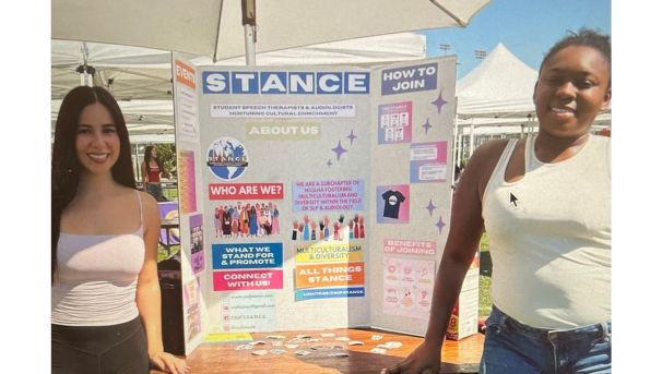 Overview of STANCE activities throughout the year