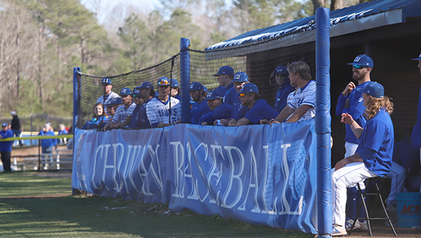 CHOWAN HAWKS BASEBALL Image