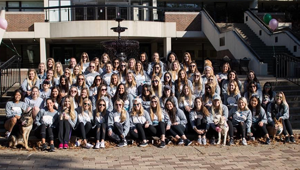 Delta Zeta 2019 Image