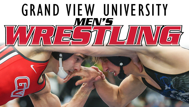 Wrestling view on sale