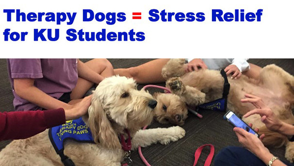 Therapy Dogs Provide Stress Relief for KU Students Image