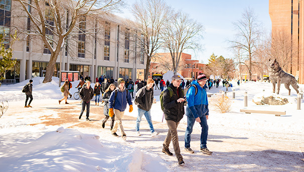 Group of students walking across campus on a sunny, winter day