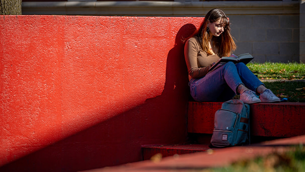 Red Hawk Fellows Program Image