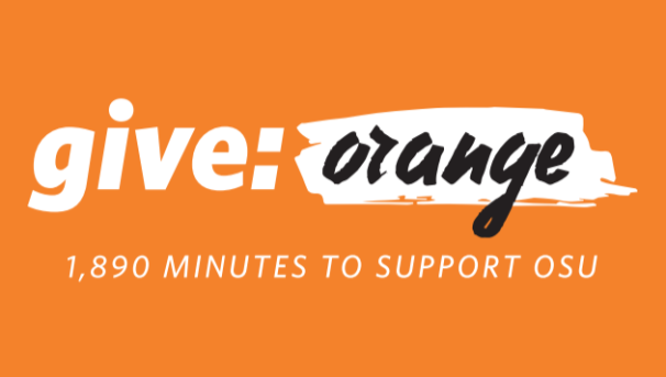 2019 - Make Your Give Orange Challenge Gift Today Image