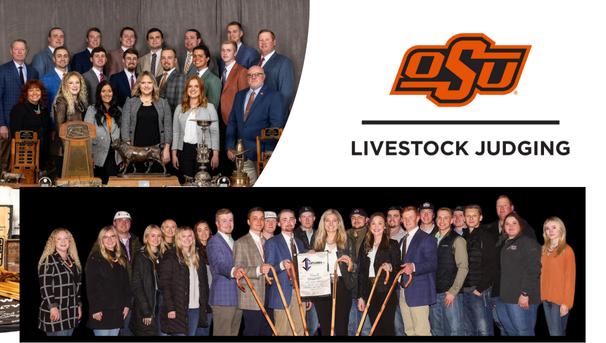 Fall 2024- OSU Livestock Judging Team Image