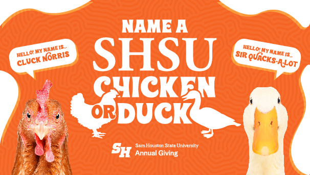 Name a SHSU Chicken or Duck Image