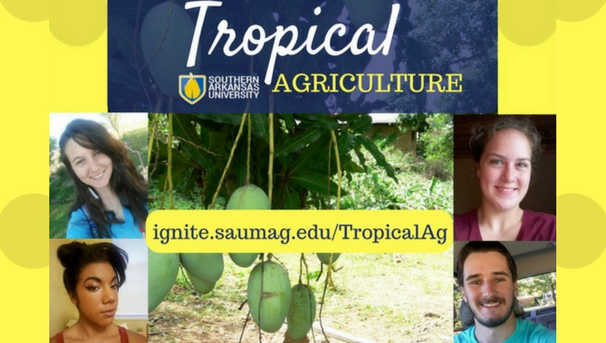 Tropical Agriculture Image