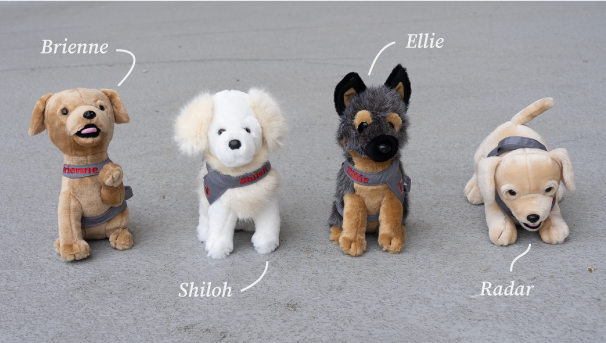 Four dog plushies posed on a grey flooring. They are as followed: Brienne, Shiloh, Ellie, and Radar