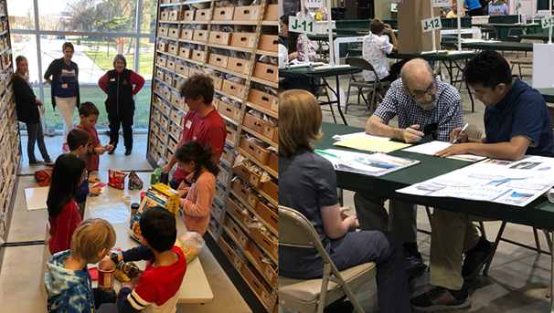 Young students and older individuals sitting at tables, working on activities