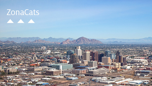 Phoenix Alumni Chapter Image