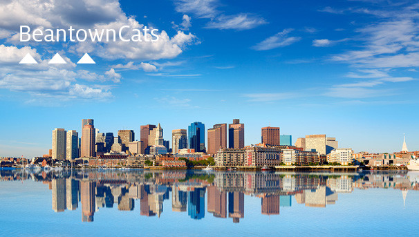 Boston Alumni Chapter Image