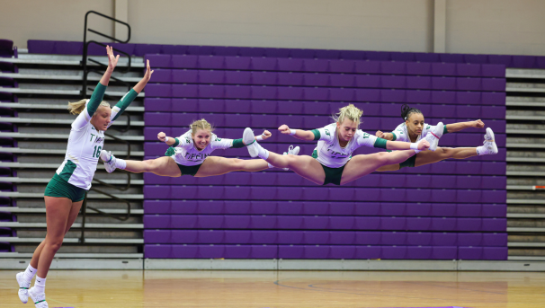 Stunt 2023-2024 Image