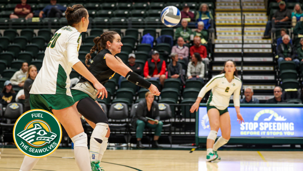 UAA Volleyball student athletes during a match at the Alaska Airlines Center