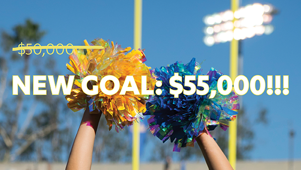 Spirit Squad Scholarships - Be our Champion! Image