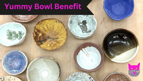 3rd Annual Yummy Bowl Benefit Image
