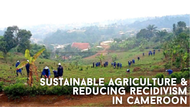 Sustainable Agriculture & Reducing Recidivism in Cameroon Image