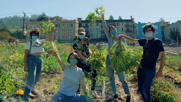 Berkeley Student Farms Image