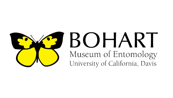 New Bohart Museum Traveling Exhibits Image