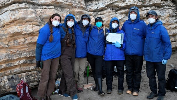 You can bring elephant seal science to Monterey Bay classrooms! Image