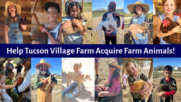 Help TVF Raise the BARN! Image