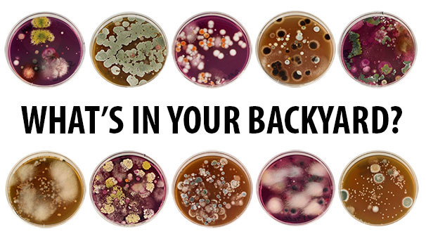 Past Projects Citizen Science Soil Collection Program