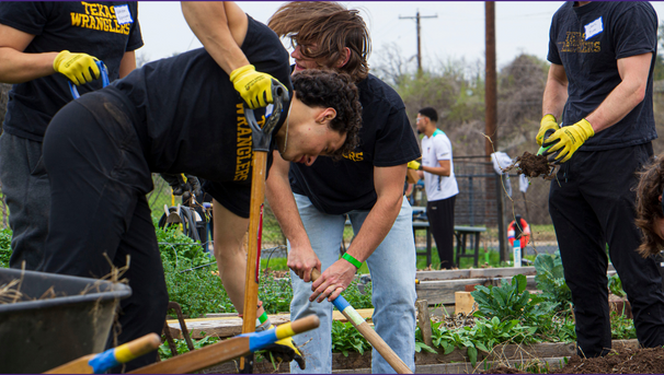 Texas Wranglers gardening (no border)