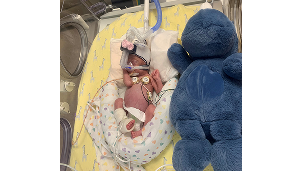 Newborn premature baby in the NICU laying next to stuffed animal