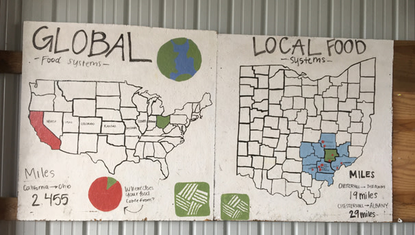 The importance of global and local food systems