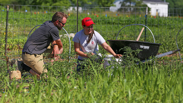 Two people sitting in a garden