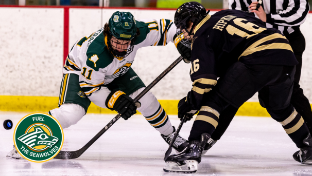 UAA Seawolf Men's Ice Hockey student athlete takes a face-off during a game.