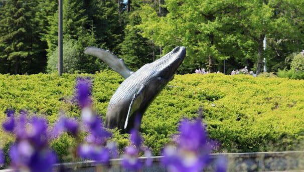 Greenery with sculture of whale breaching in front of green bushes