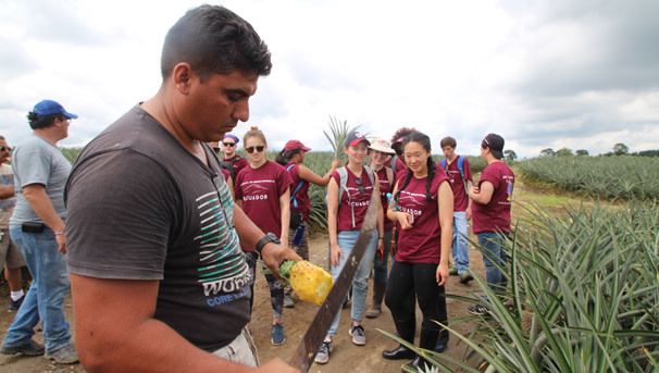 CALS students experiencing agriculture in Ecuador