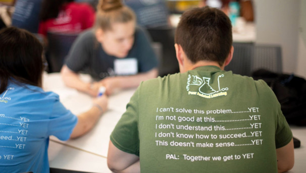 Peer Assisted Learning: Strengthening Student Success in STEM Image