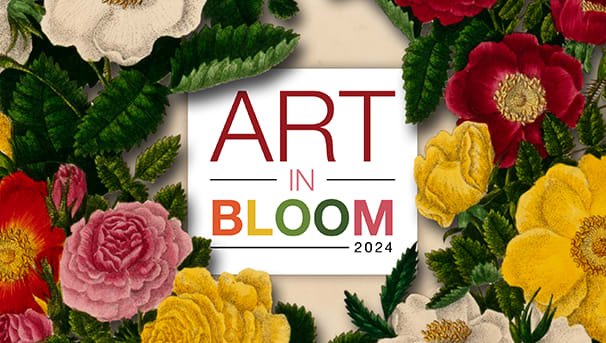 DOMA: Art in Bloom Image