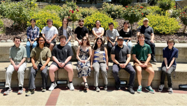 SURE Program: Advancing Undergraduate Research in STEM Image