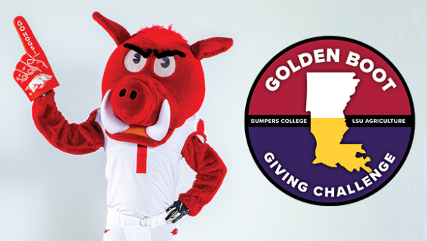 Golden Boot Giving Challenge: Bumpers College and LSU Agriculture