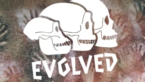 Evolved: The evolution of the human body