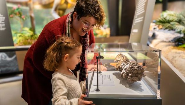 EFM employee teaching child about fossils.