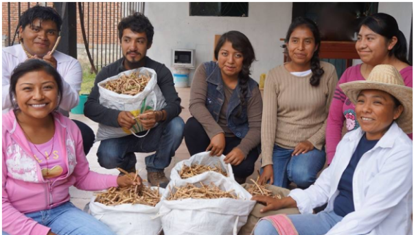 Cultivate Economic Growth in Oaxaca, Mexico! Image