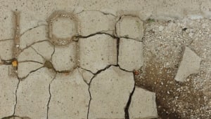 Senior Walk Preservation